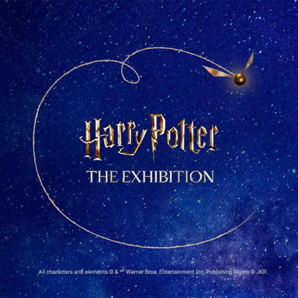 foto Harry Potter™: The Exhibition - Entrada General