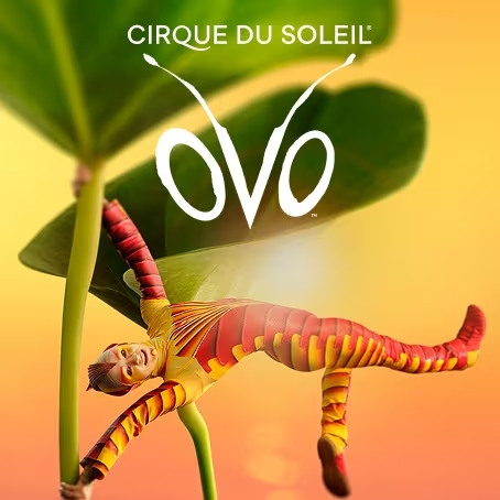 foto OVO, Cirque du Soleil - Madrid