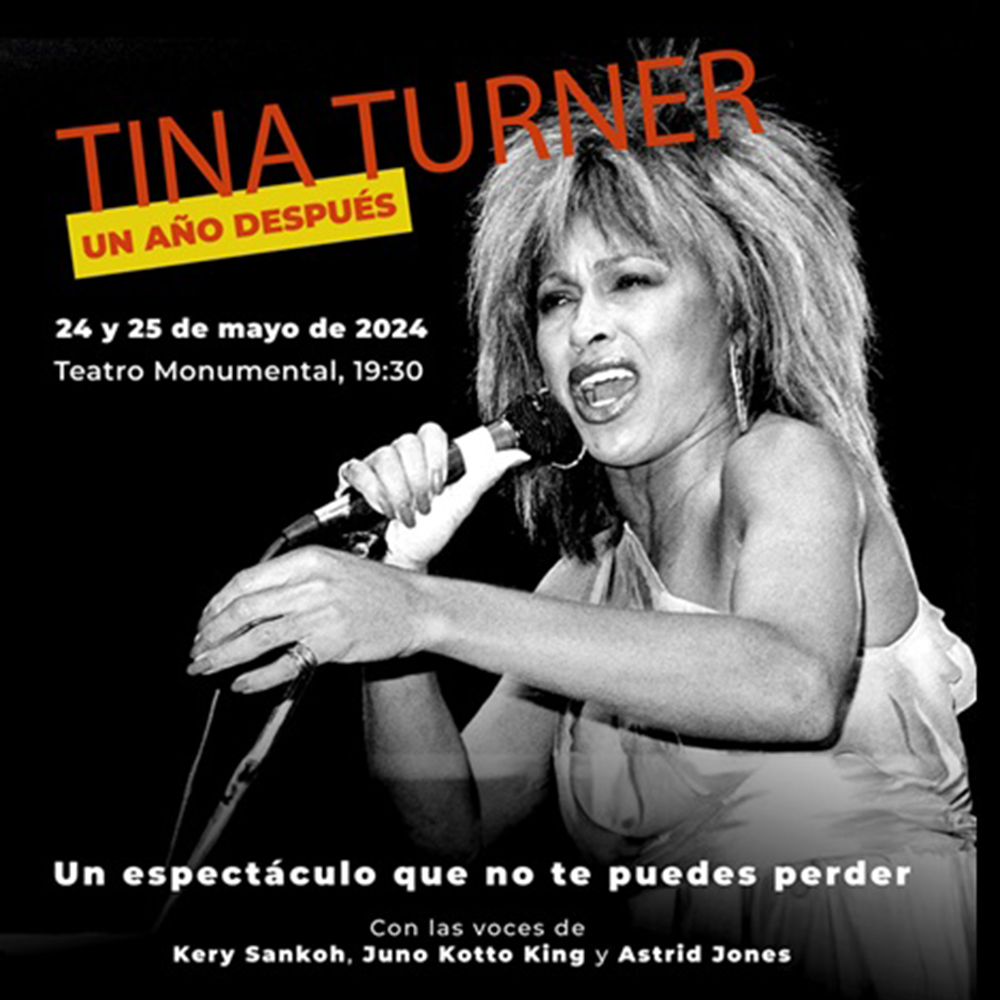 imagen Tina Turner, un año despúes